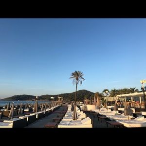 Meet your Posher, Charlotte